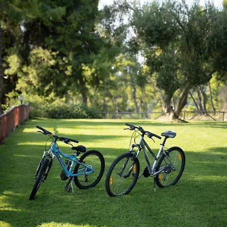 Feriehus Aetofolia *