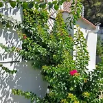 Aetofolia * Fúrka
