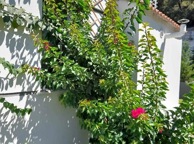 Aetofolia * פורקה